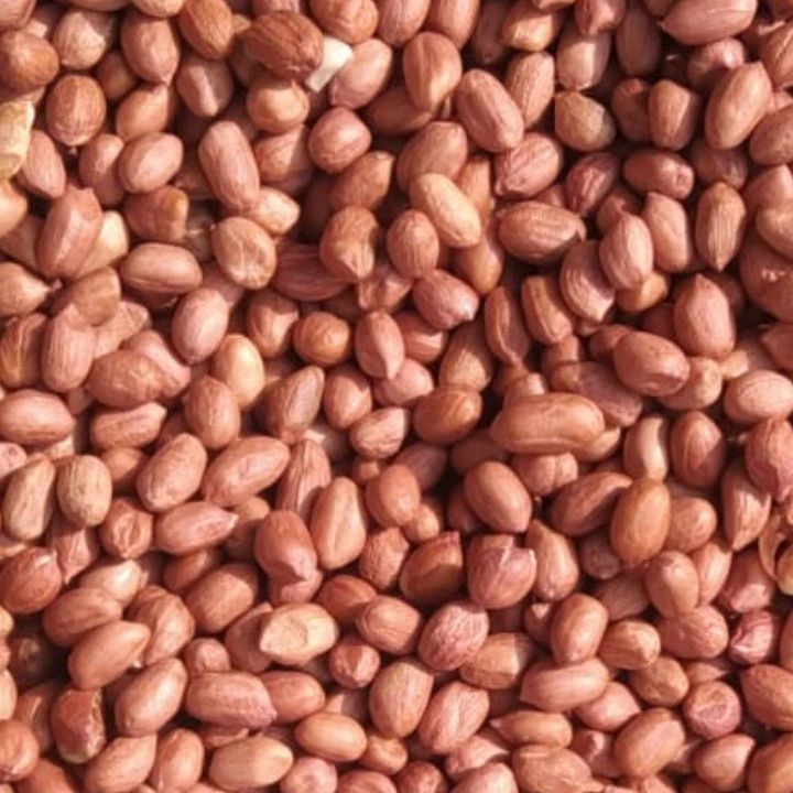 Kacang Tanah Kulit
